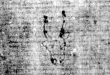 DE5580-2Incca2645_k3 - Typ:0 - ID: 116432 - Eintrag Nr.: 205 Wasserzeichen DE5580-2Incca2645_k3