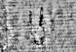 DE5580-2Incca2645_m3 - Typ:0 - ID: 116433 - Eintrag Nr.: 206 Wasserzeichen DE5580-2Incca2645_m3