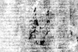 DE5580-2Incca2645_K6 - Typ:0 - ID: 116435 - Eintrag Nr.: 207 Wasserzeichen DE5580-2Incca2645_K6