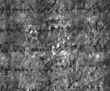 Wasserzeichen DE4815-DNB-L-WZ-0002518-wm1