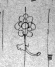 Wasserzeichen DE4815-DNB-L-WZ-0002530-wm1