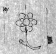 Wasserzeichen DE4815-DNB-L-WZ-0002532