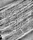DE0960-Mgf491_160 - Typ:0 - ID: 116814 - Eintrag Nr.: 244 Wasserzeichen DE0960-Mgf491_160