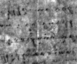 DE4815-DNB-L-WZ-0002562 - Typ:1 - ID: 116895 - Eintrag Nr.: 5 Wasserzeichen DE4815-DNB-L-WZ-0002562