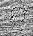 Wasserzeichen DE0960-Mgf855_182