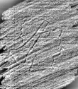 DE0960-Mgf1320_414 - Typ:0 - ID: 116977 - Eintrag Nr.: 127 Wasserzeichen DE0960-Mgf1320_414