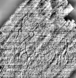DE0960-Mlf768_193 - Typ:0 - ID: 117050 - Eintrag Nr.: 220 Wasserzeichen DE0960-Mlf768_193