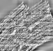 DE0960-Mlf768_201 - Typ:0 - ID: 117051 - Eintrag Nr.: 221 Wasserzeichen DE0960-Mlf768_201