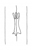 DE4860-Ms1200_136 - Typ:0 - ID: 117323 - Eintrag Nr.: 2 Wasserzeichen DE4860-Ms1200_136