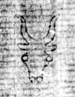 DE5580-2Incca1874-3_M4 - Typ:0 - ID: 117695 - Eintrag Nr.: 210 Wasserzeichen DE5580-2Incca1874-3_M4