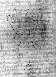 DE5580-2Incca191_b8 - Typ:0 - ID: 117946 - Eintrag Nr.: 22 Wasserzeichen DE5580-2Incca191_b8