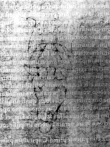 DE5580-2Incca191_a5 - Typ:0 - ID: 117947 - Eintrag Nr.: 23 Wasserzeichen DE5580-2Incca191_a5