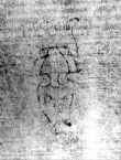 DE5580-2Incca191_b4 - Typ:0 - ID: 117948 - Eintrag Nr.: 24 Wasserzeichen DE5580-2Incca191_b4
