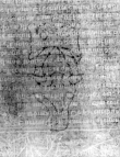 DE5580-2Incca191_b2 - Typ:0 - ID: 117953 - Eintrag Nr.: 28 Wasserzeichen DE5580-2Incca191_b2