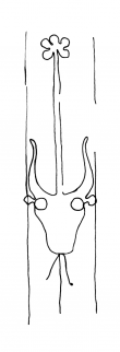 Wasserzeichen DE4860-Ms1355_241