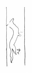 DE4860-Ms1451_91 - Typ:0 - ID: 118267 - Eintrag Nr.: 2 Wasserzeichen DE4860-Ms1451_91