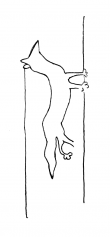 DE4860-Ms1451_95 - Typ:0 - ID: 118270 - Eintrag Nr.: 1 Wasserzeichen DE4860-Ms1451_95