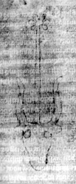 DE5580-2Incca122_D5 - Typ:0 - ID: 118466 - Eintrag Nr.: 146 Wasserzeichen DE5580-2Incca122_D5