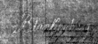 DE4815-DNB-L-WZ-0001504-wm1 - Typ:1 - ID: 119391 - Eintrag Nr.: 7 Wasserzeichen DE4815-DNB-L-WZ-0001504-wm1