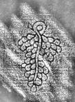 DE8280-Hs.267.1623_115 - Typ:0 - ID: 119523 - Eintrag Nr.: 2 Wasserzeichen DE8280-Hs.267.1623_115