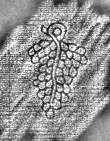DE8280-Hs.267.1623_202 - Typ:0 - ID: 119527 - Eintrag Nr.: 9 Wasserzeichen DE8280-Hs.267.1623_202