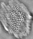 DE8280-Hs.267.1623_207 - Typ:0 - ID: 119528 - Eintrag Nr.: 8 Wasserzeichen DE8280-Hs.267.1623_207