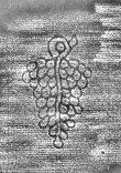 DE8280-Hs.267.1623_210 - Typ:0 - ID: 119529 - Eintrag Nr.: 7 Wasserzeichen DE8280-Hs.267.1623_210