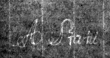 DE4815-DNB-L-WZ-0001528 - Typ:1 - ID: 119584 - Eintrag Nr.: 53 Wasserzeichen DE4815-DNB-L-WZ-0001528