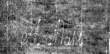 DE4815-DNB-L-WZ-0001532 - Typ:1 - ID: 119596 - Eintrag Nr.: 57 Wasserzeichen DE4815-DNB-L-WZ-0001532