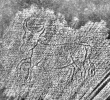 DE4440-701.220_148 - Typ:0 - ID: 120022 - Eintrag Nr.: 228 Wasserzeichen DE4440-701.220_148