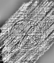 DE4440-701.221_2 - Typ:0 - ID: 120048 - Eintrag Nr.: 129 Wasserzeichen DE4440-701.221_2