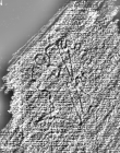 DE4440-701.231_126 - Typ:0 - ID: 120075 - Eintrag Nr.: 88 Wasserzeichen DE4440-701.231_126