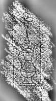 DE8280-Hs.1179.481_116 - Typ:0 - ID: 120236 - Eintrag Nr.: 174 Wasserzeichen DE8280-Hs.1179.481_116