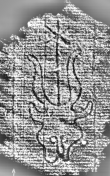 DE8280-Hs.1215.511_2 - Typ:0 - ID: 120269 - Eintrag Nr.: 217 Wasserzeichen DE8280-Hs.1215.511_2