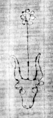DE5580-2Incca914m_F5 - Typ:0 - ID: 120975 - Eintrag Nr.: 66 Wasserzeichen DE5580-2Incca914m_F5