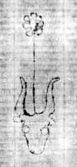 DE5580-2Incca914m_K8 - Typ:0 - ID: 120976 - Eintrag Nr.: 67 Wasserzeichen DE5580-2Incca914m_K8