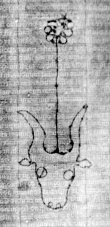 DE5580-2Incca914m_g8 - Typ:0 - ID: 120979 - Eintrag Nr.: 70 Wasserzeichen DE5580-2Incca914m_g8