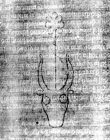 DE5580-2Incca499t_c4 - Typ:0 - ID: 121253 - Eintrag Nr.: 93 Wasserzeichen DE5580-2Incca499t_c4