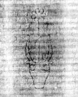 DE5580-2Incca499t_q3 - Typ:0 - ID: 121254 - Eintrag Nr.: 94 Wasserzeichen DE5580-2Incca499t_q3