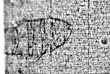DE0960-Lauer5_II-wm1 - Typ:0 - ID: 121282 - Eintrag Nr.: 7 Wasserzeichen DE0960-Lauer5_II-wm1