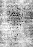 DE5580-2Incca518_X5 - Typ:0 - ID: 121625 - Eintrag Nr.: 35 Wasserzeichen DE5580-2Incca518_X5