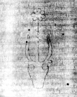 DE5580-2Incca524_b6 - Typ:0 - ID: 121643 - Eintrag Nr.: 97 Wasserzeichen DE5580-2Incca524_b6
