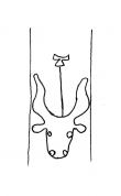 DE4860-Arist_18a_3_e4 - Typ:0 - ID: 121794 - Eintrag Nr.: 10 Wasserzeichen DE4860-Arist_18a_3_e4