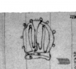 Wasserzeichen DE4815-DNB-L-WZ-0008738