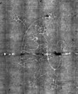 Wasserzeichen DE4815-DNB-L-WZ-0009047