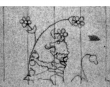 Wasserzeichen DE4815-DNB-L-WZ-0009212