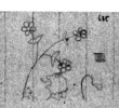 Wasserzeichen DE4815-DNB-L-WZ-0009245