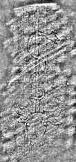 DE8280-Hs.526.1165_III - Typ:0 - ID: 123234 - Eintrag Nr.: 97 Wasserzeichen DE8280-Hs.526.1165_III
