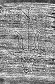 DE0960-Mgf1_446 - Typ:0 - ID: 123865 - Eintrag Nr.: 120 Wasserzeichen DE0960-Mgf1_446