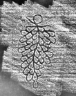 DE1185-S712_11 - Typ:0 - ID: 124025 - Eintrag Nr.: 30 Wasserzeichen DE1185-S712_11